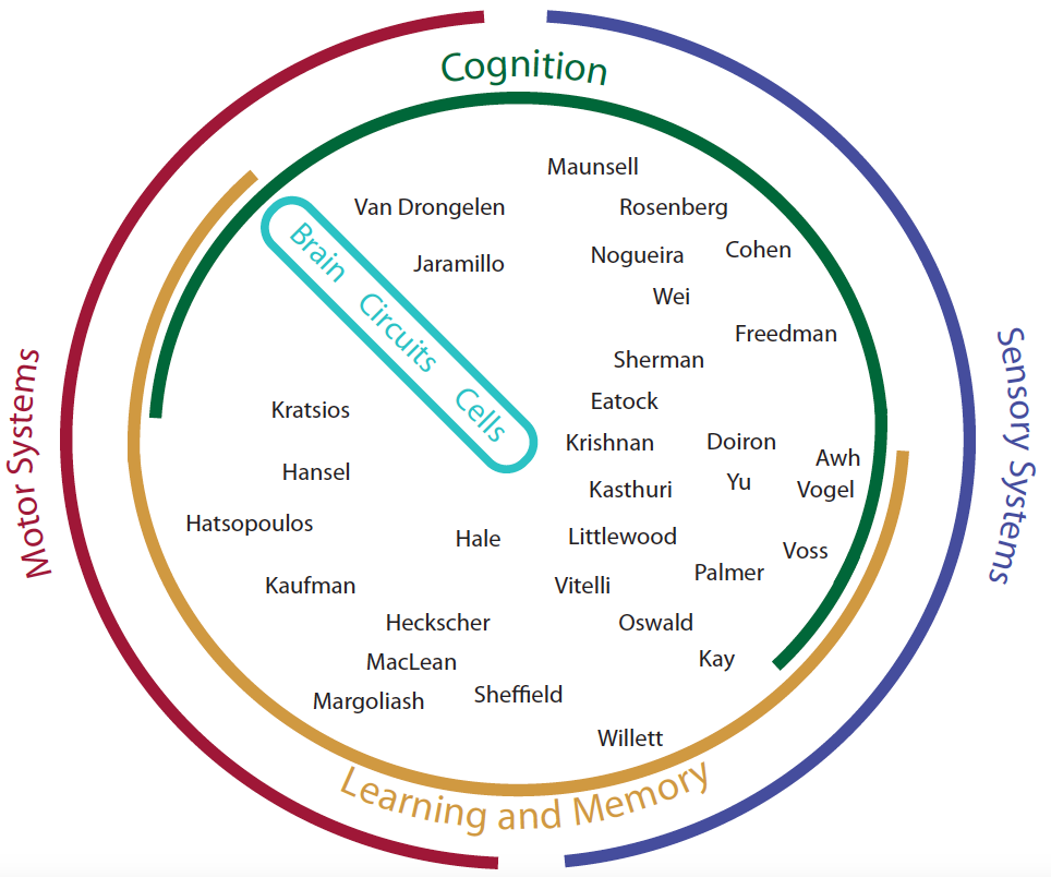 The Training Program in Theory and Computation for Next Generation